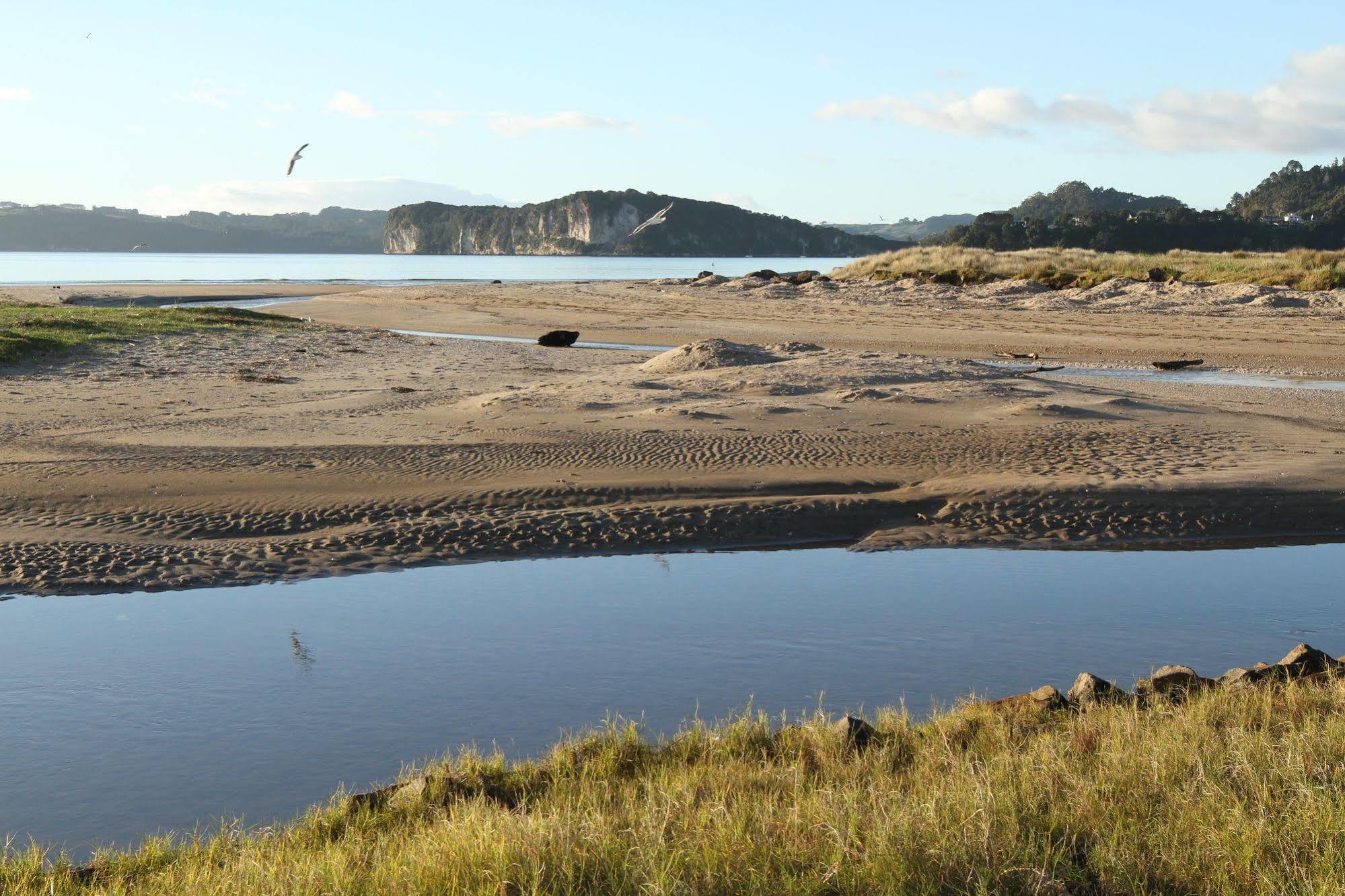 Admiralty Lodge Motel Whitianga Luaran gambar