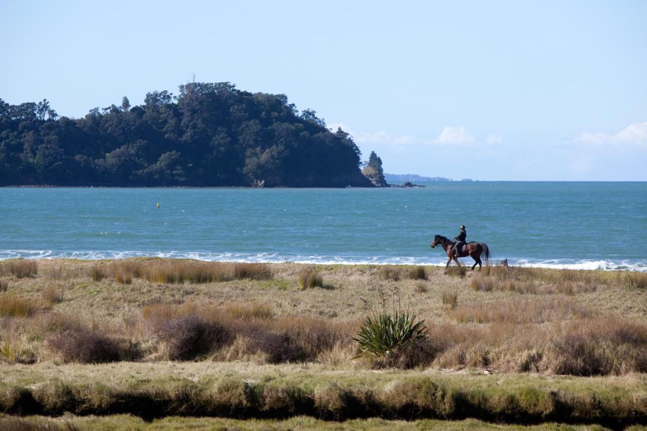 Admiralty Lodge Motel Whitianga Luaran gambar